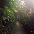 Krohn Conservatory